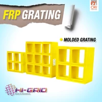 HI-Grid FRP Molded Grating Molded Grating Mesh 3838 - 1220x3660mm Thickness: 25mm